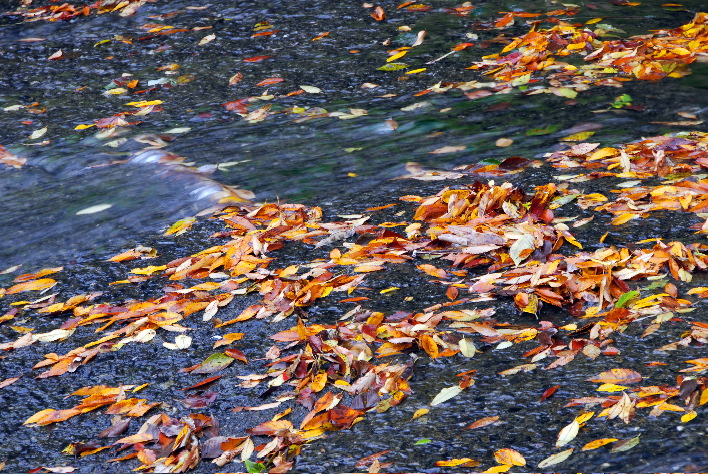 07DSC_0478