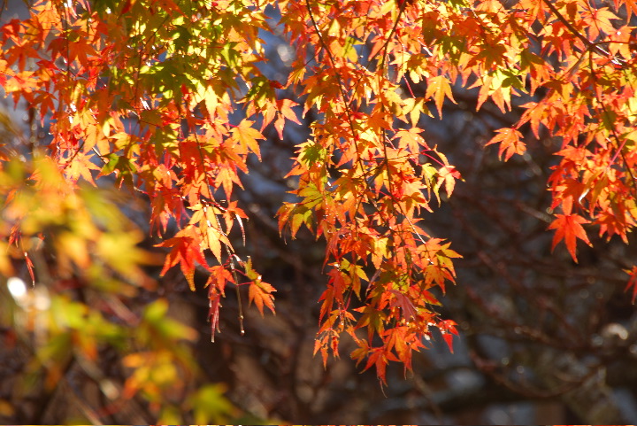00DSC_0624