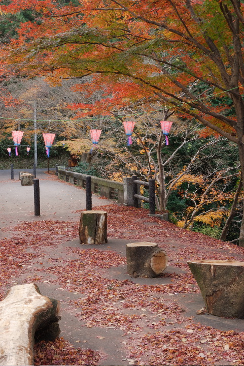 04DSC_0648