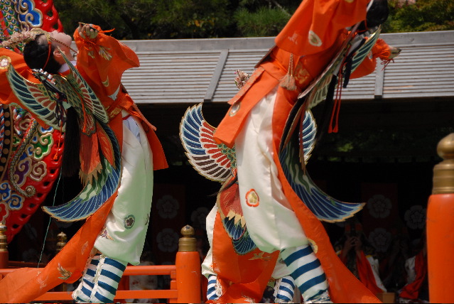 14 DSC_5963