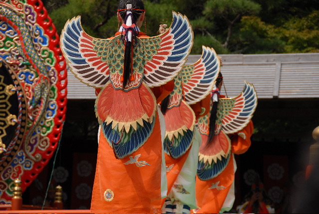 15 DSC_5966