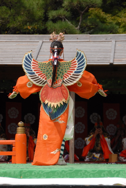 16 DSC_5974