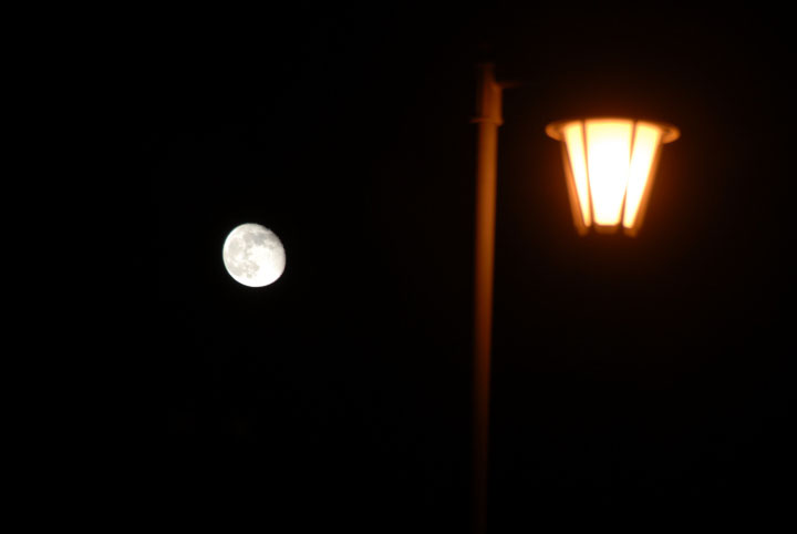 DSC_6911