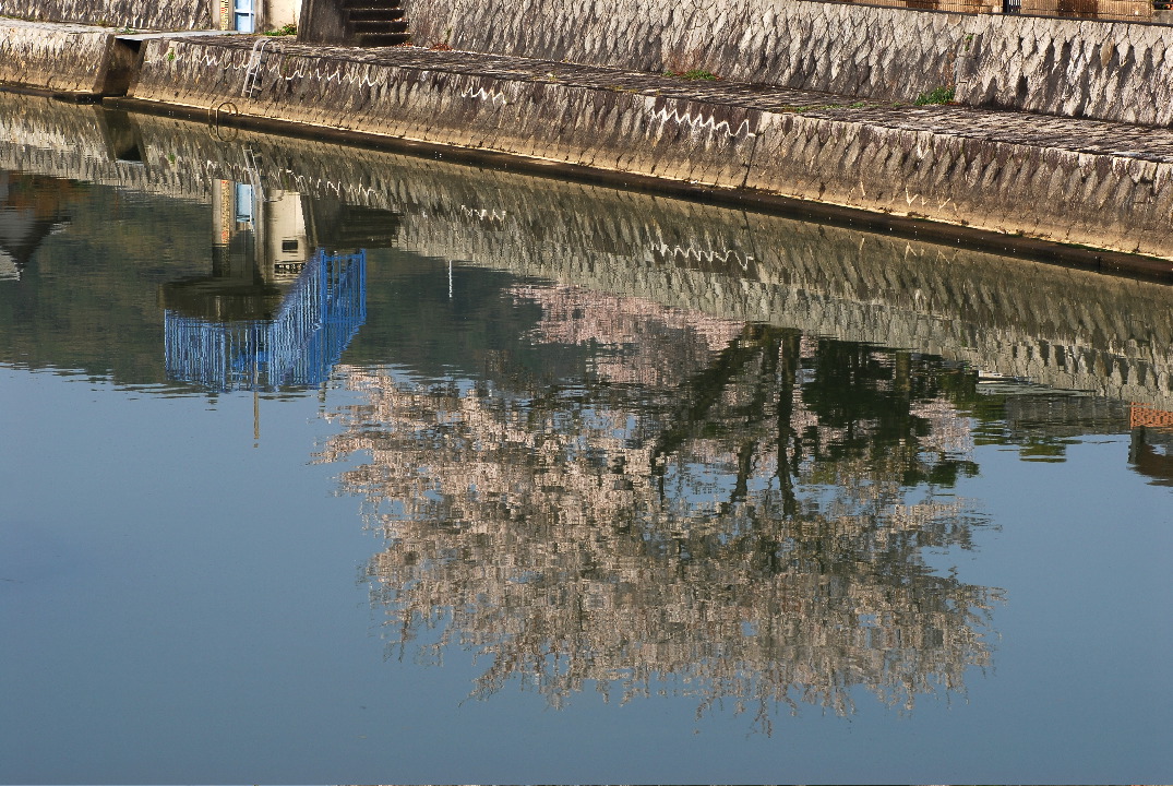 DSC_3679b