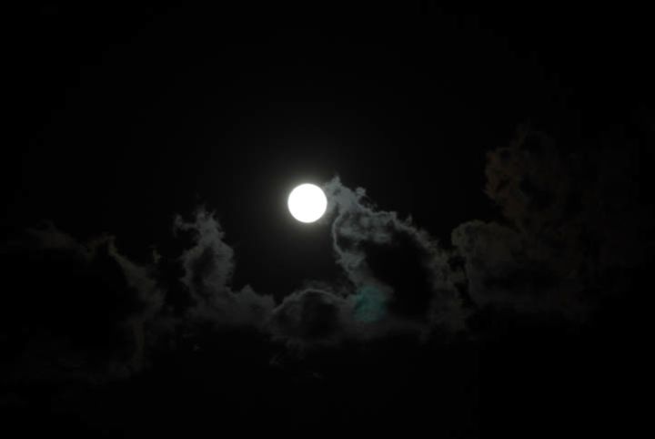 DSC_5447