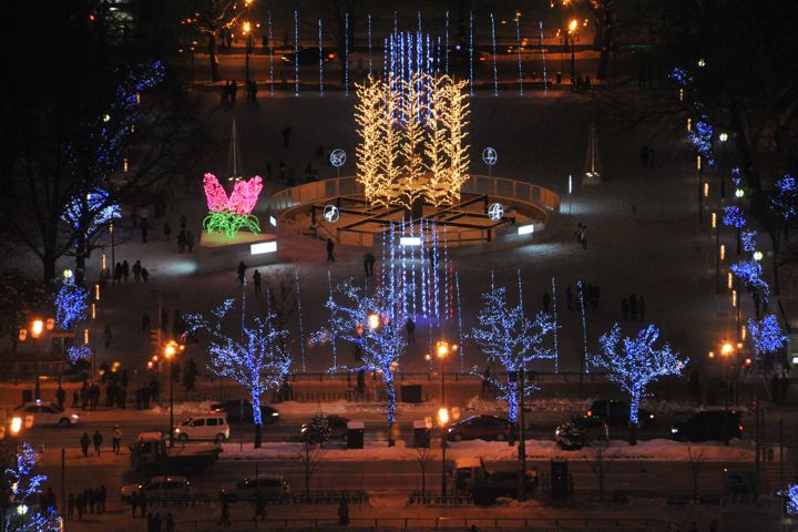 10DSC_6768