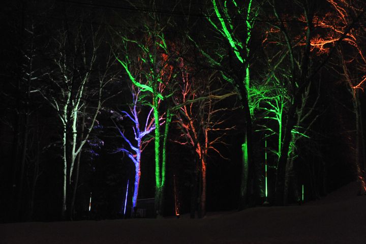 04DSC_6680