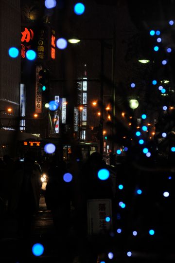 05DSC_6697