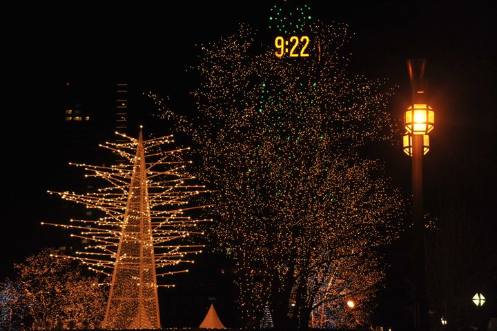 07DSC_6721