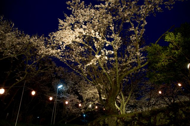 2 DSC_7654BB