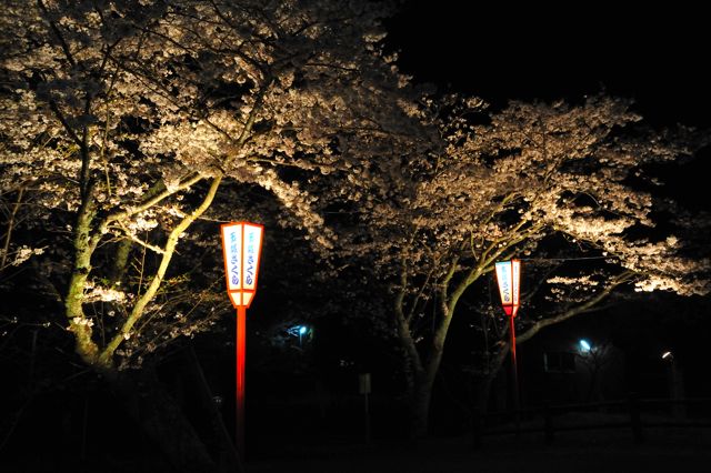 7 DSC_7676b