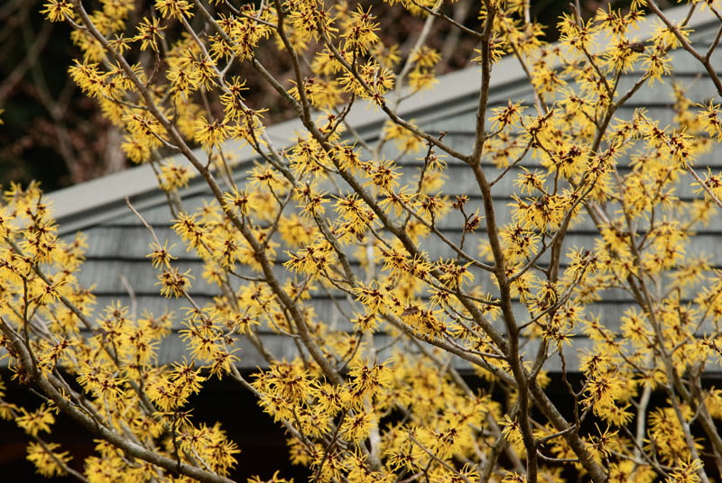 DSC_2093